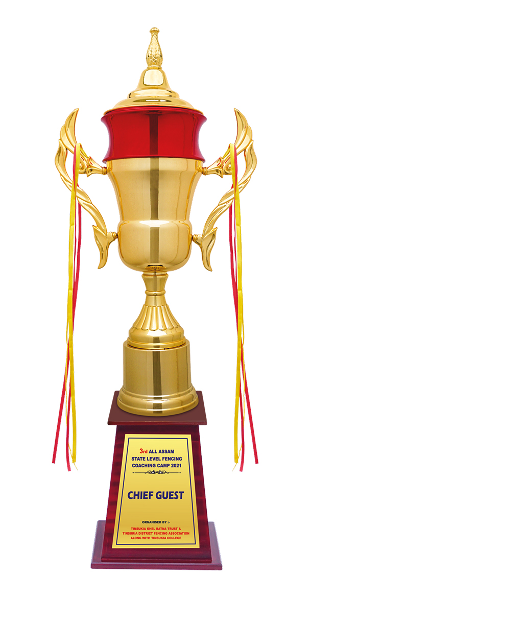 Metal Cups MC-135 Metal Trophy