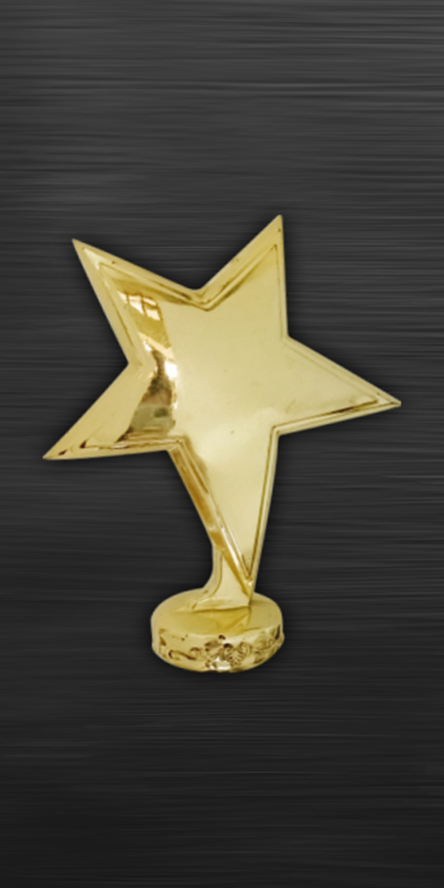 Accessories Star Flag-43 Affordable Trophy