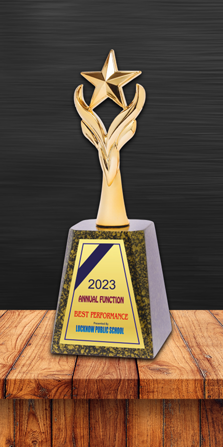 Croporate Award Metal CA-7004 Metal Award