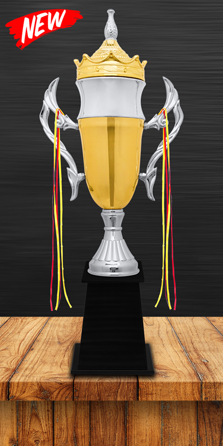 Sports Cups and Trophies MC-137 Metal Cups