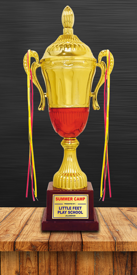 Sports Cups and Trophies PC-242 Plastic Cups