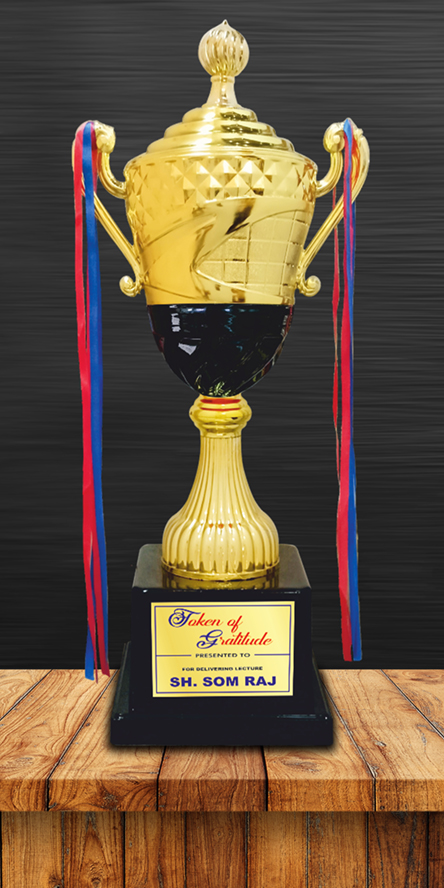 Sports Cups and Trophies PC-243 Plastic Cups