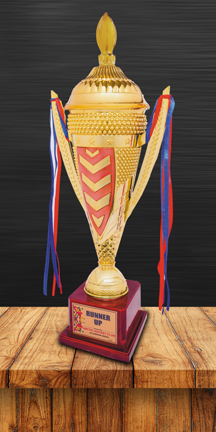 Sports Cups and Trophies PC-310 Plastic Cups