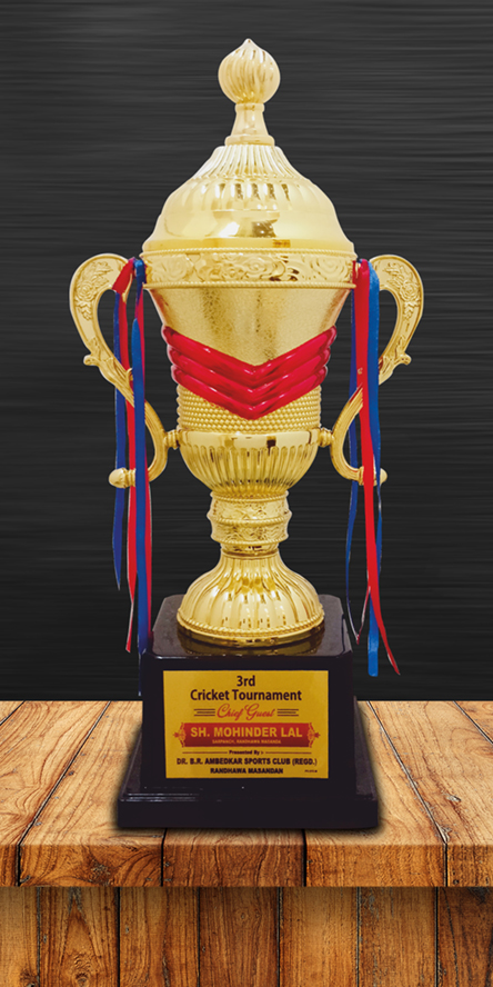 Sports Cups and Trophies PC-313 Plastic Cups