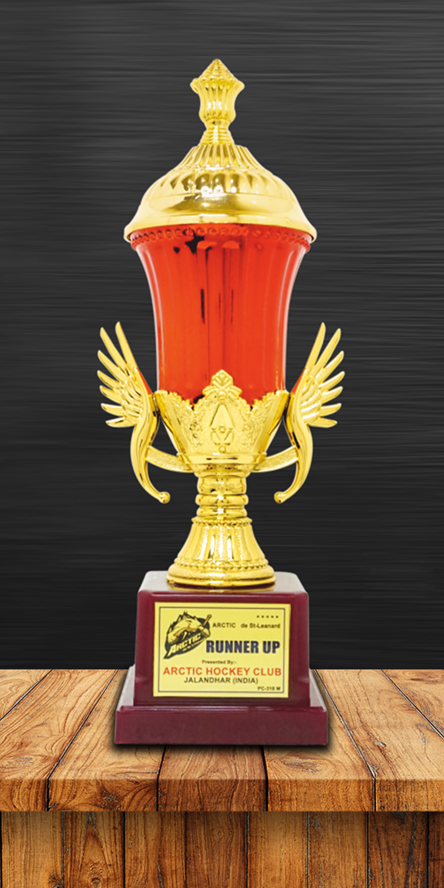 Sports Cups and Trophies PC-316 Plastic Cups