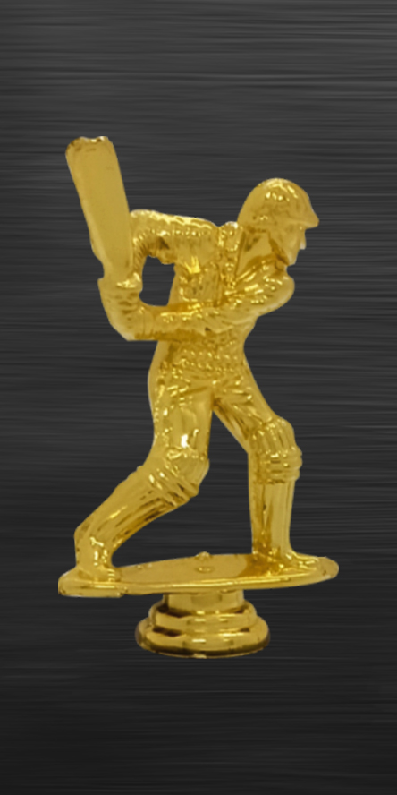 Accessories CRICKET-06 Affordable Trophy