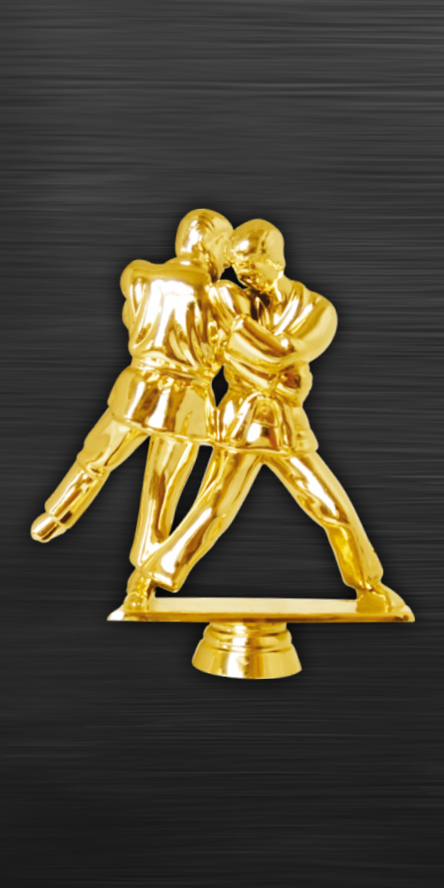 Accessories KARATE-01 Affordable Trophy