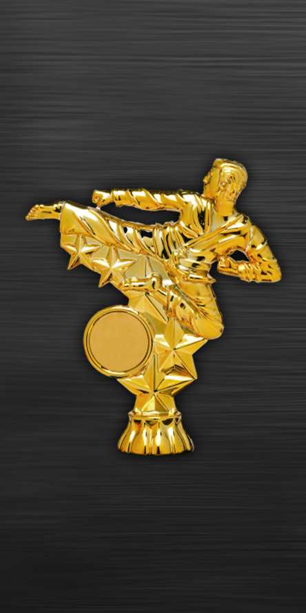 Accessories KARATE-04 Affordable Trophy