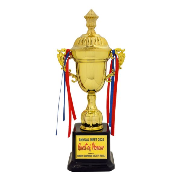 award arts plastic cups pc-20 plastic trophy