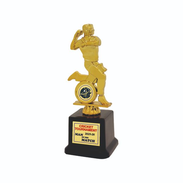 award arts plastic fitted pf-132 plastic award