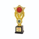 award arts plastic fitted pf-133 plastic award