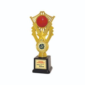 award arts plastic fitted pf-133 plastic award