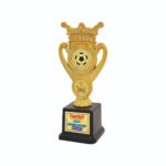 award arts plastic fitted pf-84 plastic award