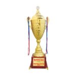 award arts metal cups mc-102 metal trophy