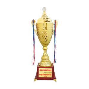 award arts metal cups mc-102 metal trophy