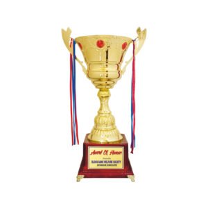 award arts metal cups mc-108 metal trophy