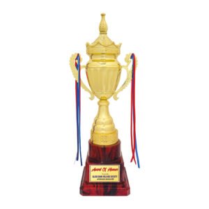 award arts metal cups mc-138 metal trophy