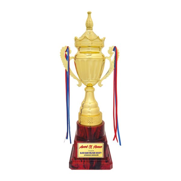 award arts metal cups mc-138 metal trophy