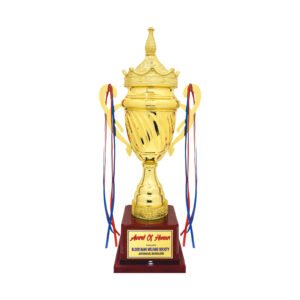 award arts metal cups mc-142 metal trophy