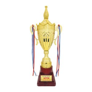 award arts metal cups mc-143 metal trophy
