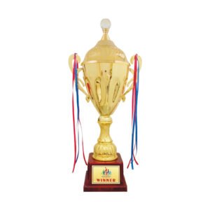 award arts metal cups mc-57 metal trophy