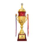 award arts plastic cups pc-118 plastic trophy