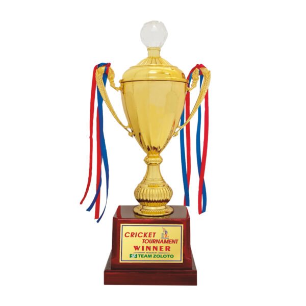 award arts plastic cups pc-216 plastic trophy