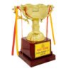 award arts plastic cups pc-219 plastic trophy