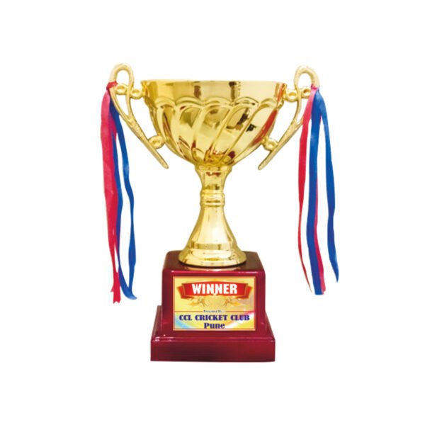 award arts plastic cups pc-230 plastic trophy