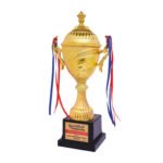 award arts plastic cups pc-305 plastic trophy