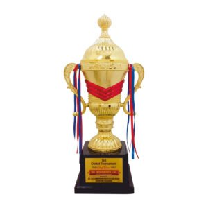 award arts plastic cups pc-313 plastic trophy