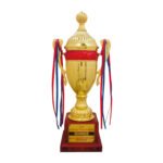 award arts plastic cups pc-314 plastic trophy