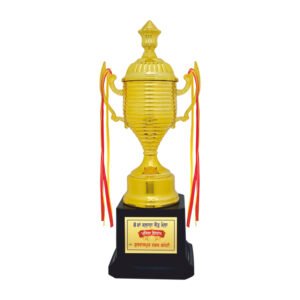 award arts plastic cups pc-328 plastic trophy