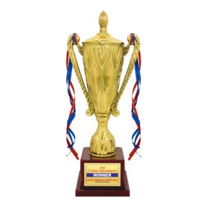 award arts plastic cups pc-340 plastic trophy