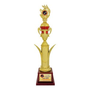 award arts plastic cups pc-341 plastic trophy