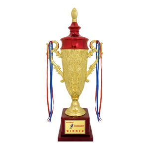 award arts plastic cups pc-346 plastic trophy
