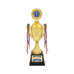 award arts plastic cups pc-403 plastic trophy